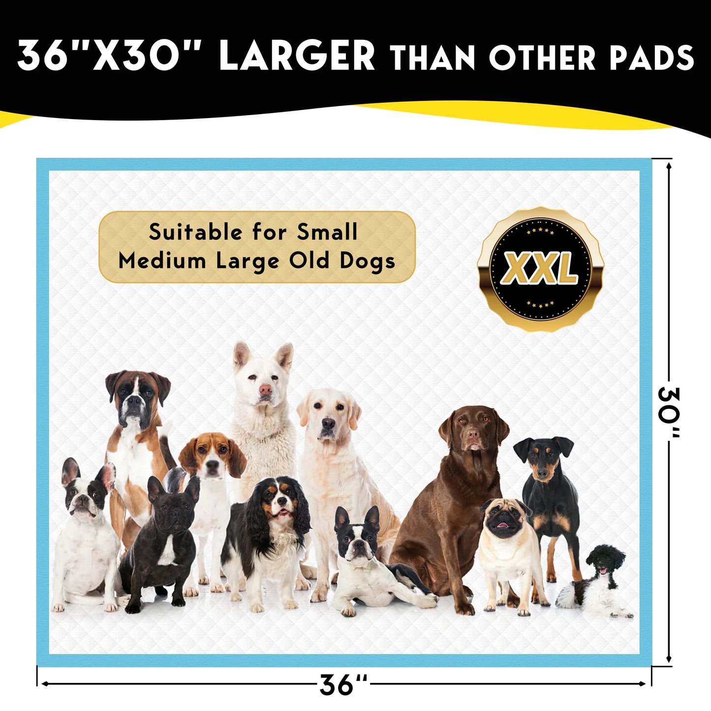 Dog Training Pads, XXL, 30 in X 36 In, 100 Count Disposable Dog Puppy Pee Pads