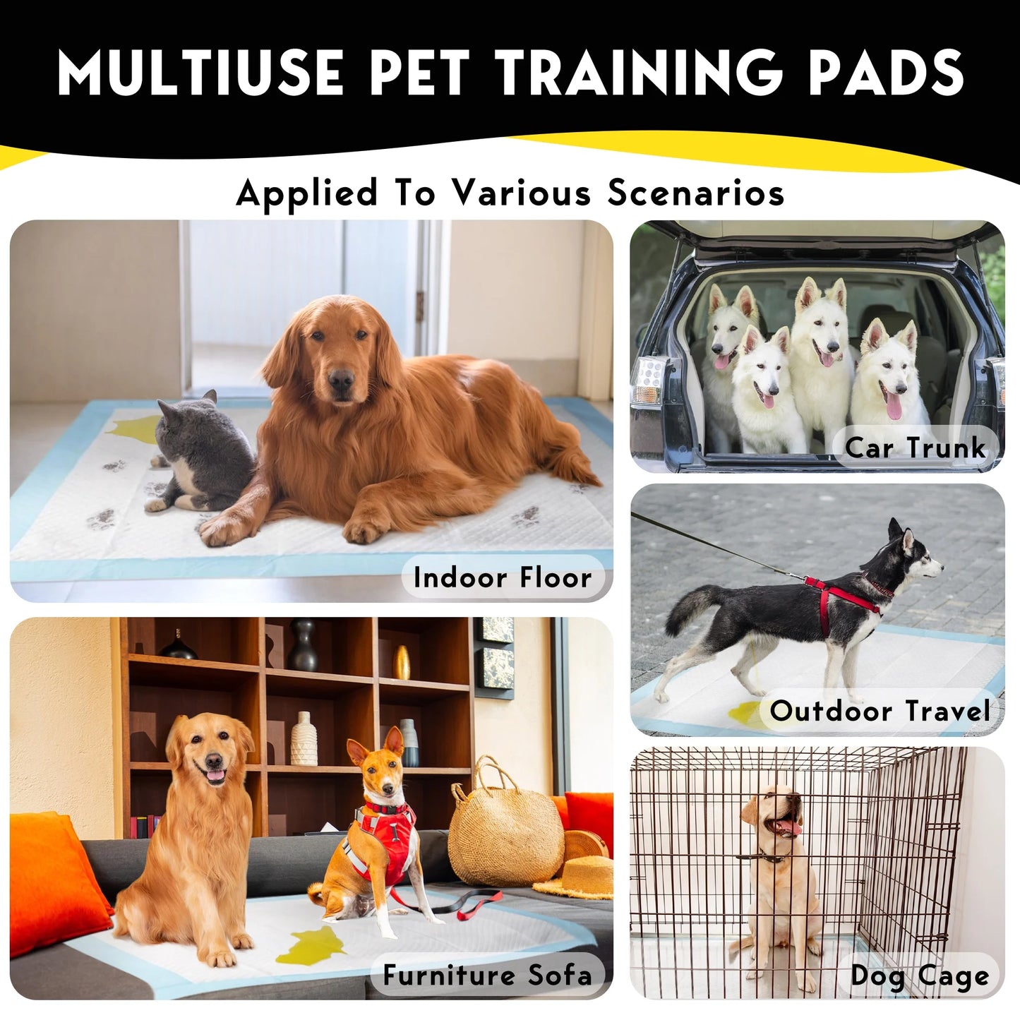 Dog Training Pads, XXL, 30 in X 36 In, 100 Count Disposable Dog Puppy Pee Pads